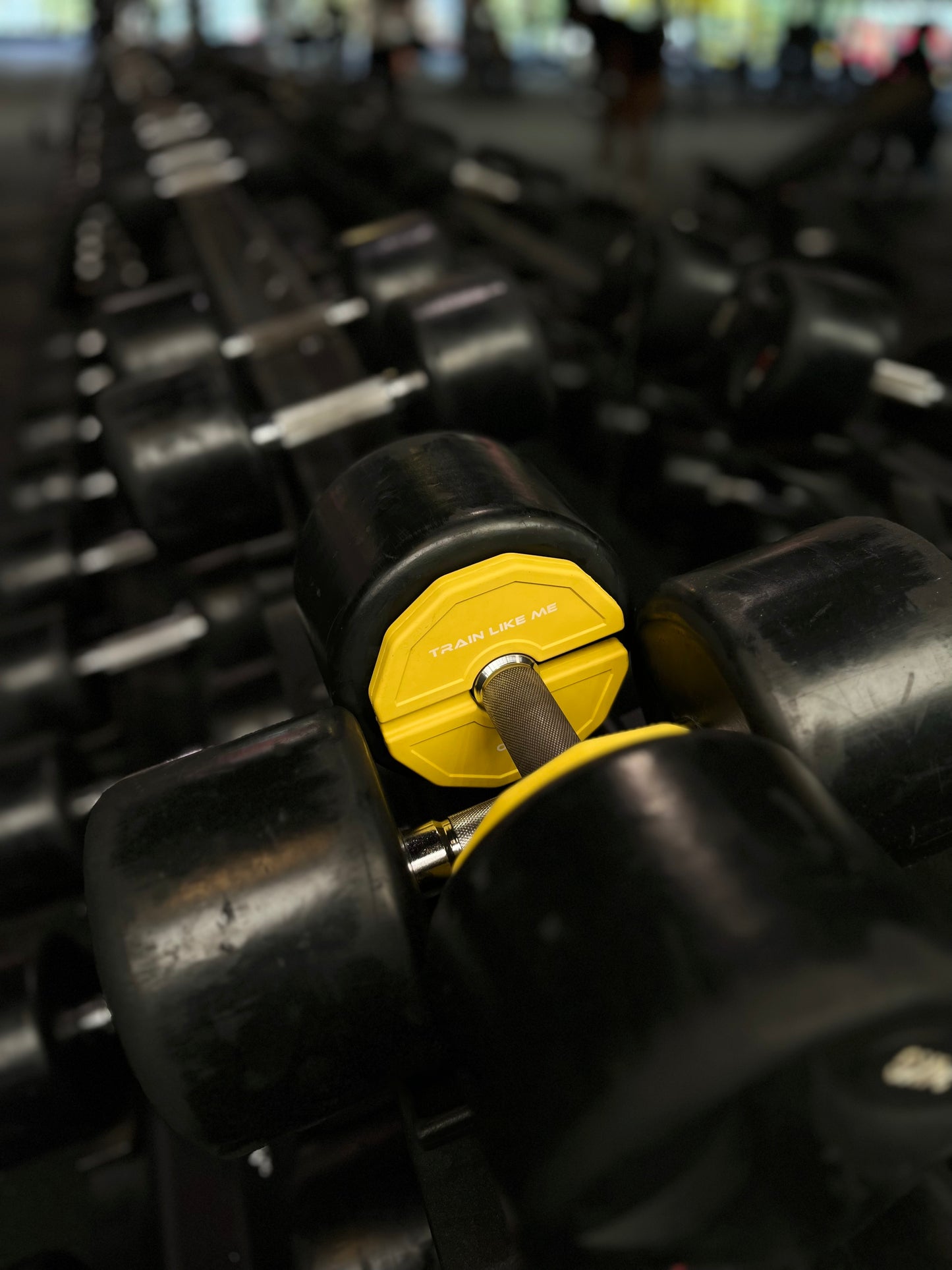 Adjustable Micro Load Plates